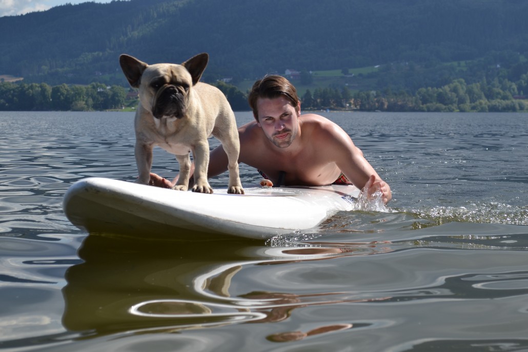 hunden einar elsker å surfe