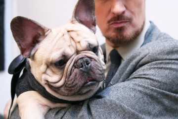 Baron von bulldog