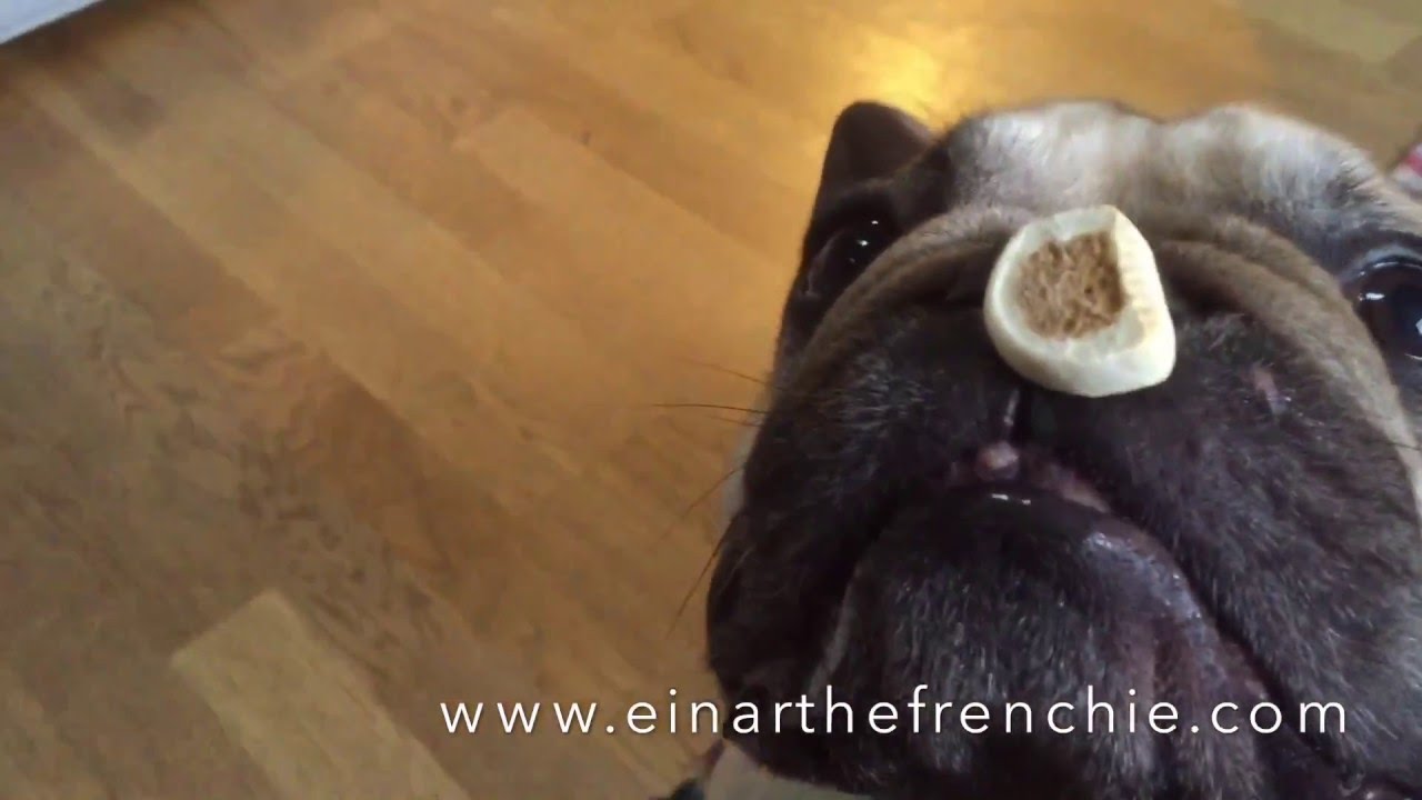 wait for it
